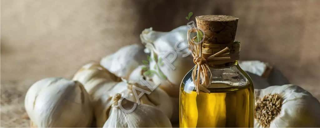Garlic Essential Oil Price
